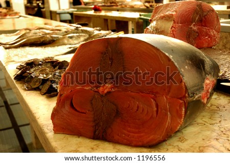 tuna fish in a fish-market in Funchal