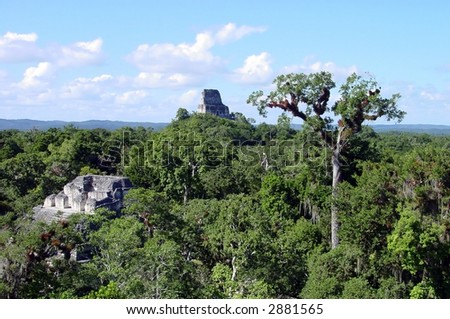 Tikal jungle outlook - Guatemala
