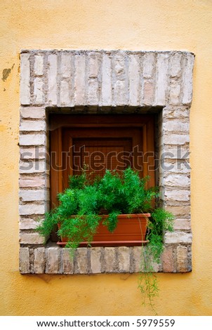 Beautiful authentic Italian window box