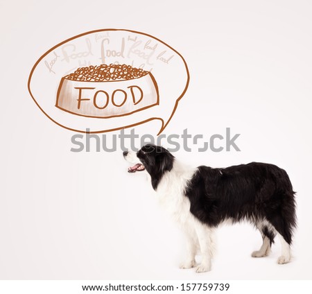 Cute black and white border collie thinking about a bowl of food in a thought bubble above her head