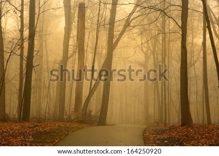 Alley in the park on misty morning
