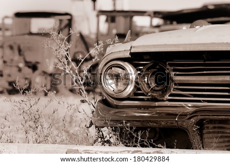 Old abandoned cars in the junk yard