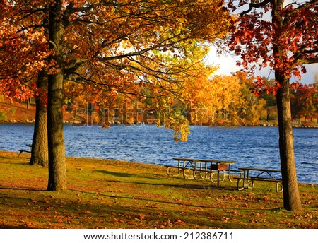 Picnic tables under the autumn trees near the lake