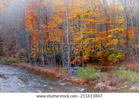 Colorful trees by the river in late autumn time
