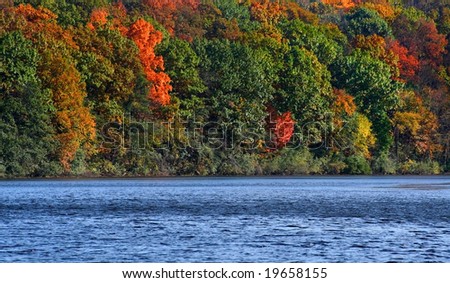 Autumn Trees By The River Side
