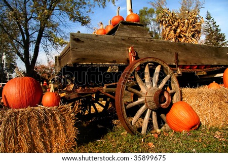 Pumpkin arrangement for sale