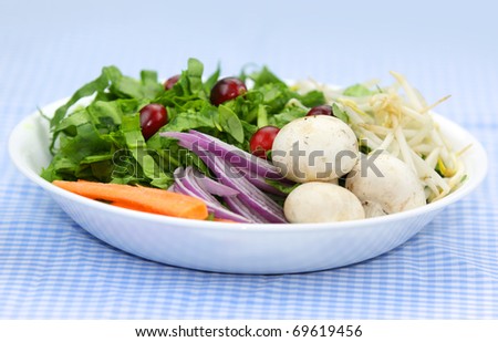 Plate of fresh healthy vegetables on table cloth