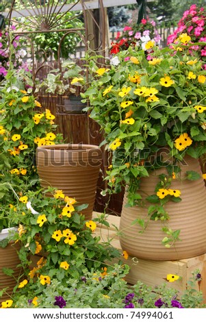 Different flower pots in a green house in spring time