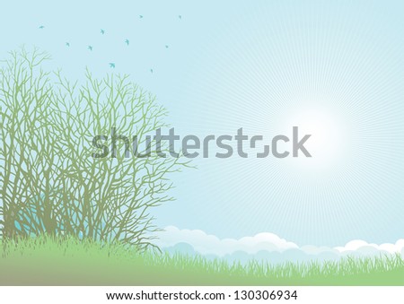 Spring landscape. Green grass, bare trees and birds on spring  landscape