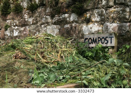 Wonderful old grass and weeds make up a compost heap