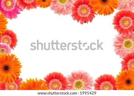 daisy flowers frame, space for messages, all flowers from photographers portfolio