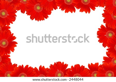 Red+daisy+flowers+pictures