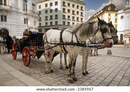 horse cab