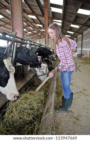 Smiling breeder woman giving food to cows