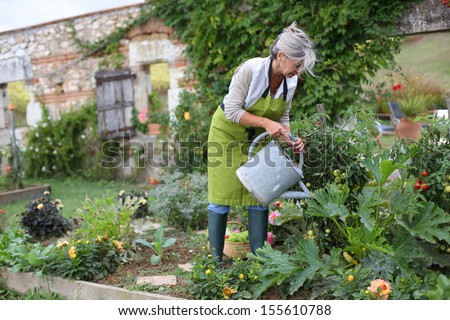 Senior woman watering vegetable garden