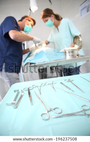 Veterinarian and assistant working in surgery room