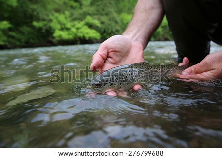 Fisherman holding recently caught brown trout
