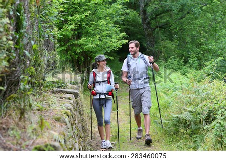 Couple of hikers walking in forest track