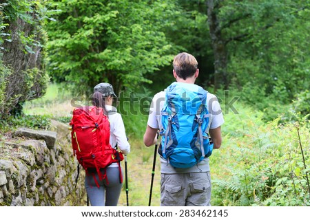 Back view of couple of hikers walking in forest path