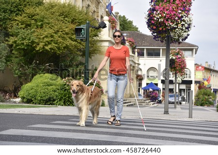 Blind woman crossing the street with help of guide dog
