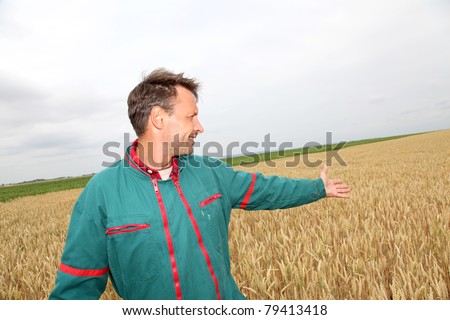 Farmer showing wheat field in spring season