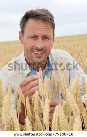 Portrait of agronomist analyzing wheat ears