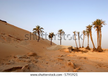 Sahara Desert, popular travel destination.