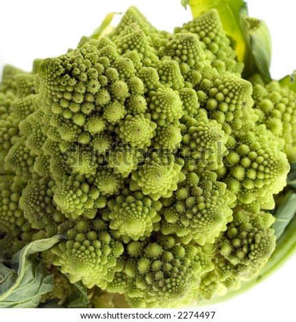 asian cauliflower typical example for fractal in the nature