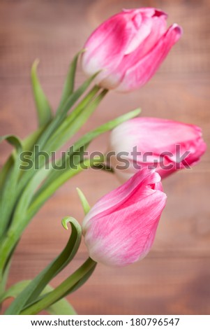 Flowers tulips on the background of wooden wall