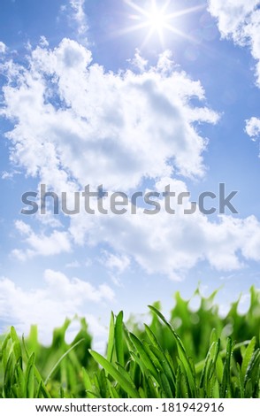 grass under the sun in the sky with clouds