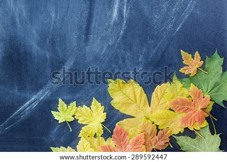 Autumn leaves on the background of the teachers\' board