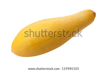 Yellow Squash Isolated with clipping path on a white background