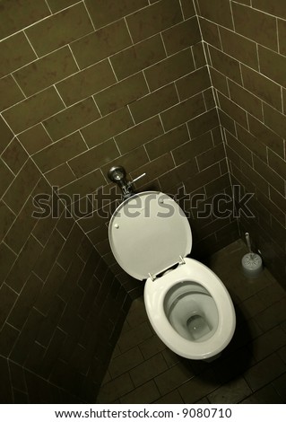 white clean toilet sit shot from above at dark brown clean environment