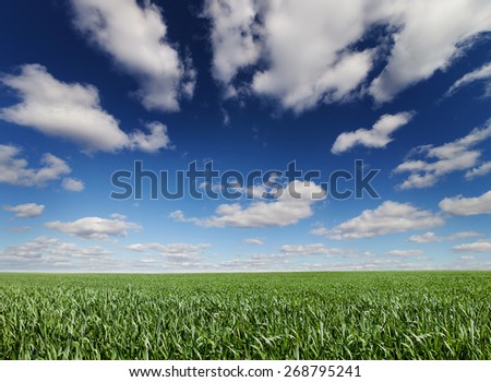 Panoramic beautiful landscape grass and cloud.