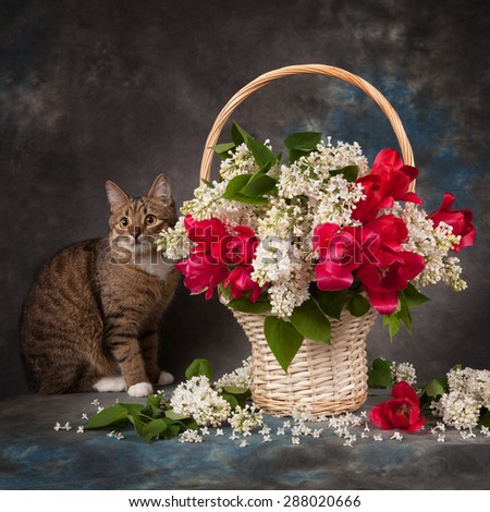 Country still life. White lilacs, tulips and cat
