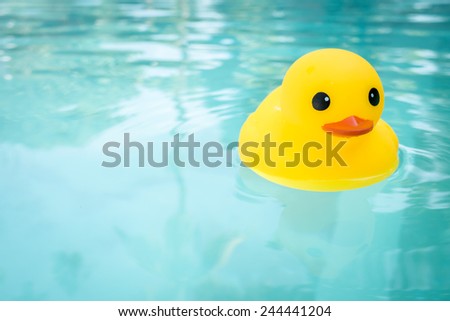 rubber ducky in a swimming pool