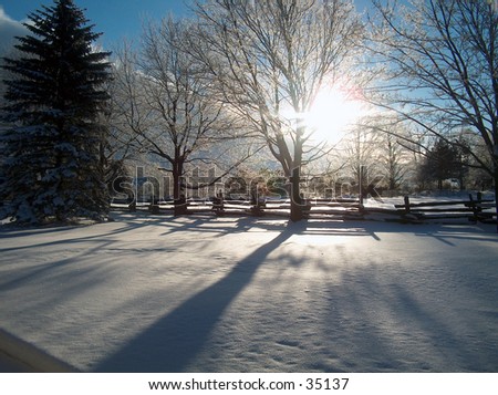 early morning shot, sun just coming up, glow, long shadows on the newly fallen snow!!