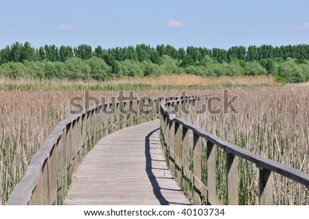Wooden water walkway on Lake Tisza showing birds aqua life at Poroszlo (Hungary). The path of planks laid on stilts is 1500 meter long.