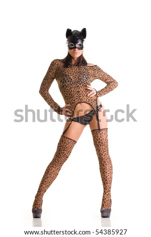 Catwoman costume, the mask