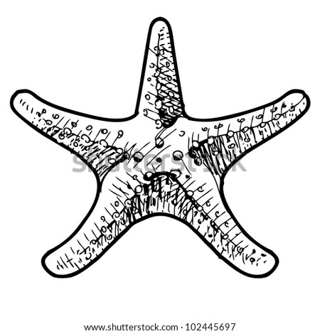 Sea Star. Hand Drawing Sketch Vector Illustration - 102445697