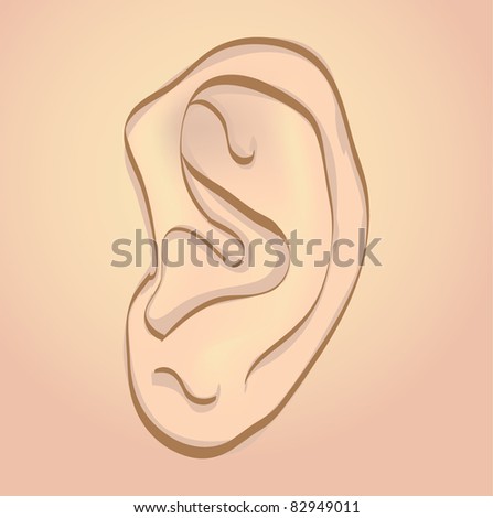 human ear on white background - isolated illustration