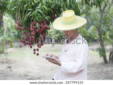 Lychee growers are monitoring the quality and scientific information about the product.