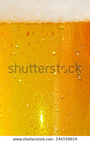 first plane of a glass of blond beer with foam