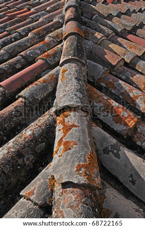 it photographs, of first plane of old roof, formed by superimposed tiles