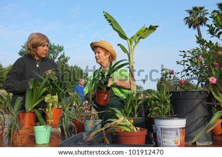 BAKERSFIELD, CA - MAY 4: Even plants and flowers are selling at the \