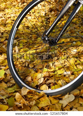 Touring bicycle wheel against a background of autumn leaves