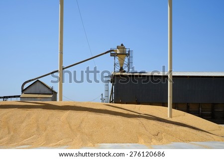 This Central California plant processes animal feed. It is located adjacent to a cattle feed lot.