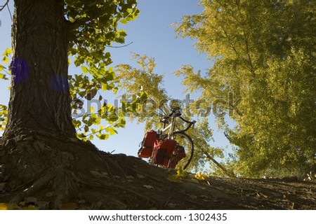 Touring bicycle framed by trees