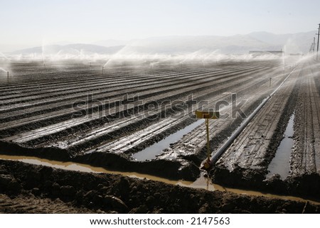 Crop irrigation in a Central California farm field