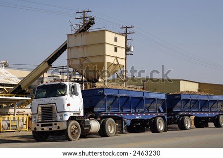 Potatoes loaded onto a tractor trailer rig with conveyor belt and loading hopper in background
